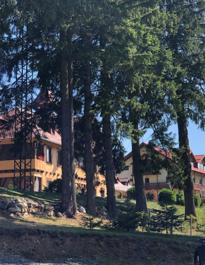 Seminar-Instruire la Loc Putere Sibiu, România