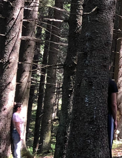 Seminar-Instruire la Loc Putere Sibiu, România