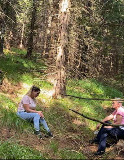 Seminar-Instruire la Loc Putere Sibiu, România