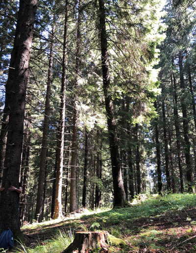 Seminar-Instruire la Loc Putere Sibiu, România