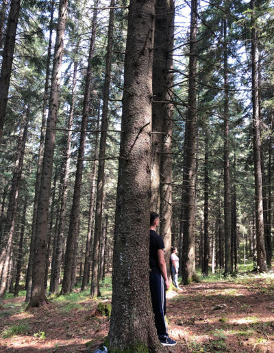 Seminar-Instruire la Loc Putere Sibiu, România