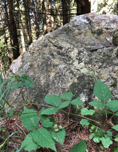 Seminar-Instruire la Loc Putere Sibiu, România
