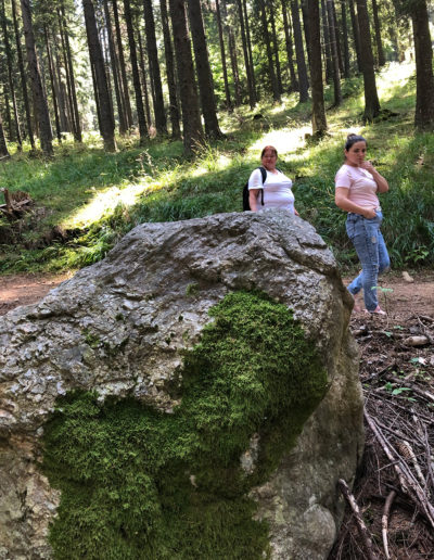 Seminar-Instruire la Loc Putere Sibiu, România
