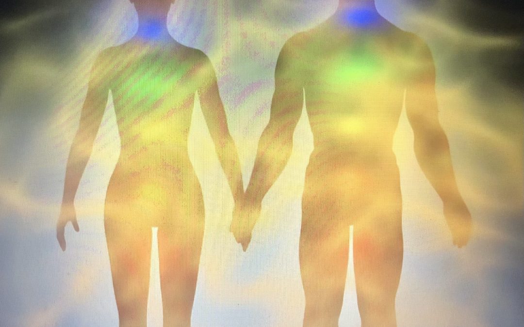 Acțiunile elevului înainte, în timpul și după sesiune