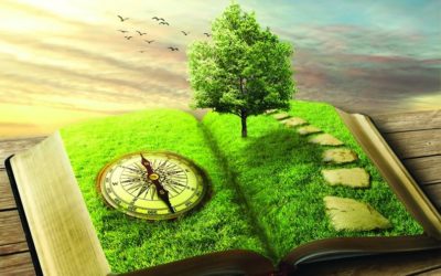 Lucrul cu Energiile Întregului Neam Practici NEAMUL MEU