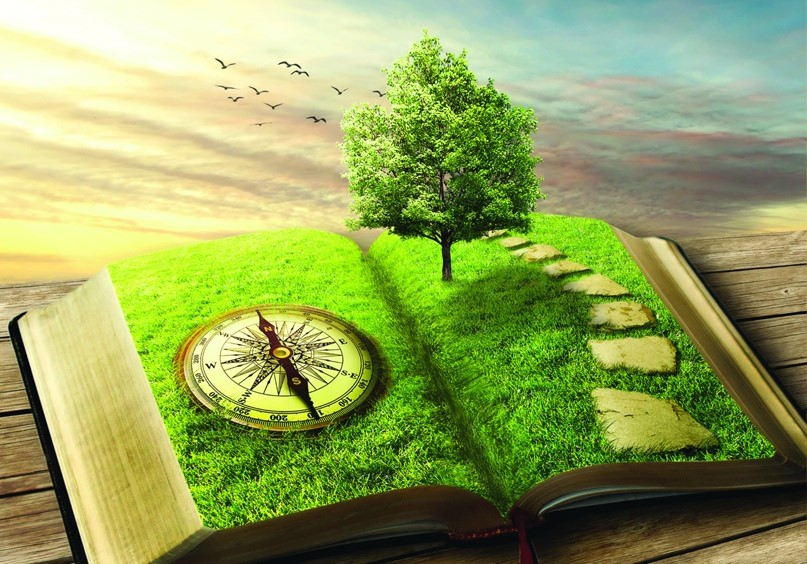 Lucrul cu Energiile Întregului Neam Practici NEAMUL MEU